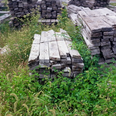 POld Wood Piles
